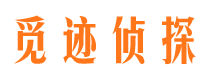 红岗侦探公司